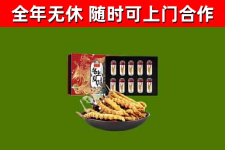 邻水县回收冬虫夏草价格