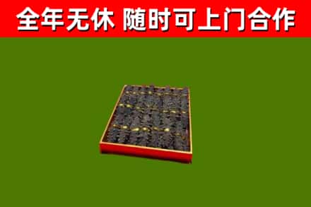 邻水县回收海参